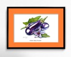 Frame-H-Wild Egg Plant