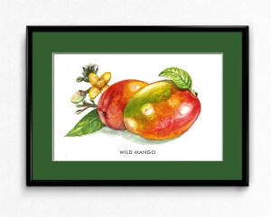Frame-H-Wild-Mango